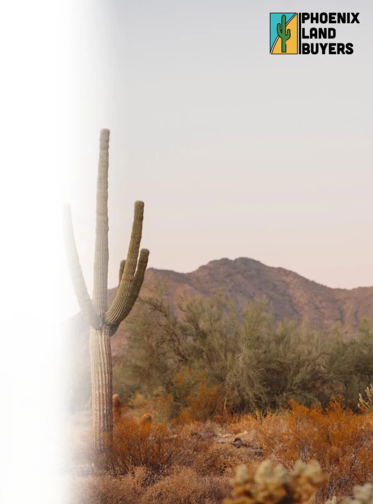 Selling Your Land Fast For Cash In Payson
