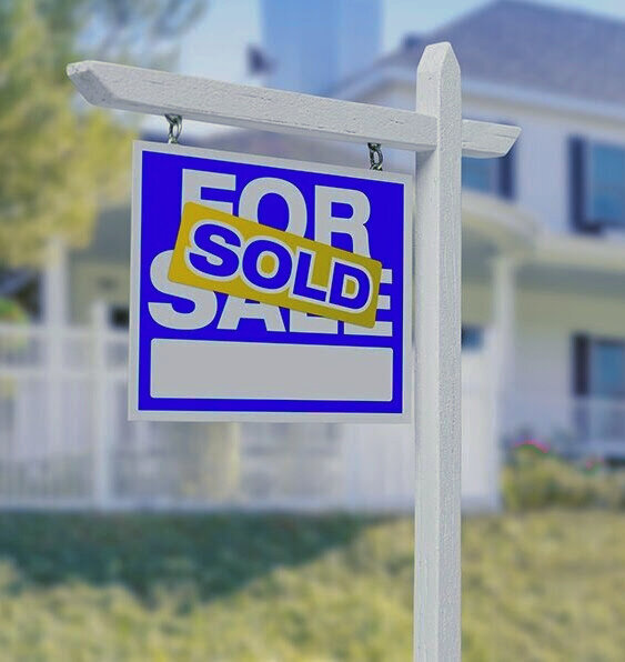 sold mold in Tampa