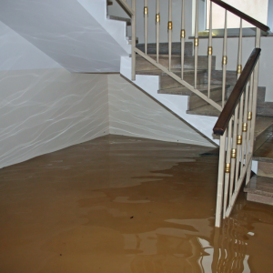Sell a House With Flood Damage in Florida