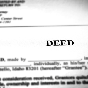 Guide on How to File a Quit Claim Deed Florida