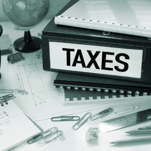 Florida Excise Tax Calculator Tampa