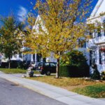 Cost-Effective Living Tampa