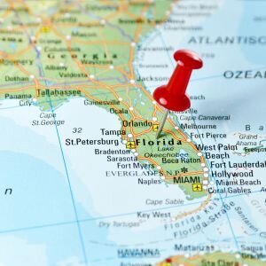 Neighborhood Layout Tampa