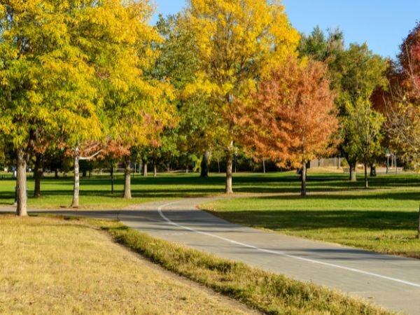 Explore Free Activities in Brandon, Florida