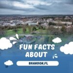 Guide to Fun facts about Brandon, FL