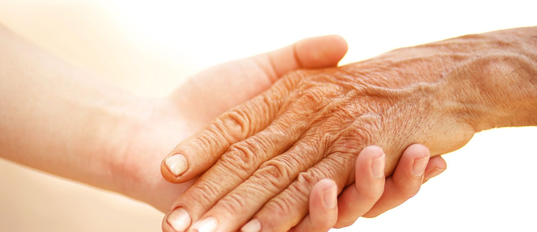 Selling My Parents House To Pay For Care In Florida hero in Tampa