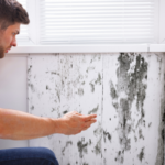 Sell a House Fast With Mold in Florida