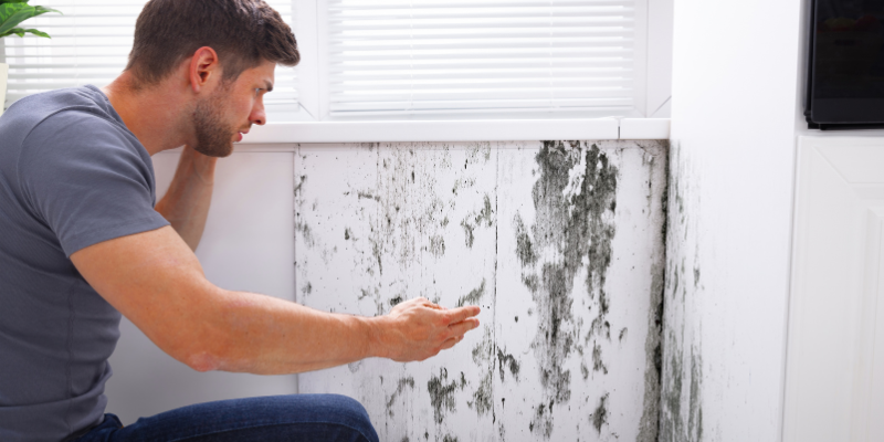 Sell a House Fast With Mold in Florida