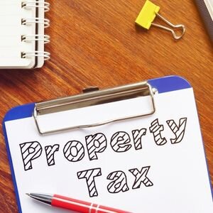 How Long Can You Avoid Paying Property Taxes in Tampa