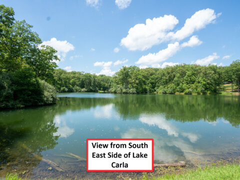 Lakefront Cabins For Sale