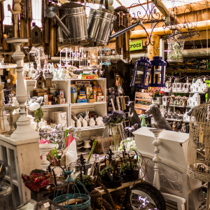 Sell Your Hoarder House Fast