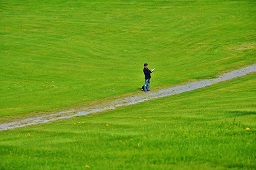 Who Are Your Buyers In Wayland Massachusetts