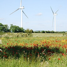 Beautify And Photograph Well Your Wayland MA Land