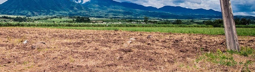 Things To Consider When Buying A Lot In Northborough MA