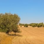 Sell your house in Wrentham MA