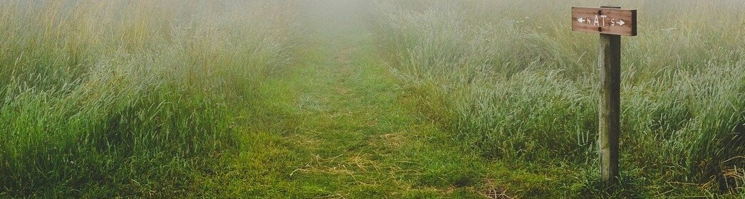 Common Way To Sell Your Land In Walpole MA