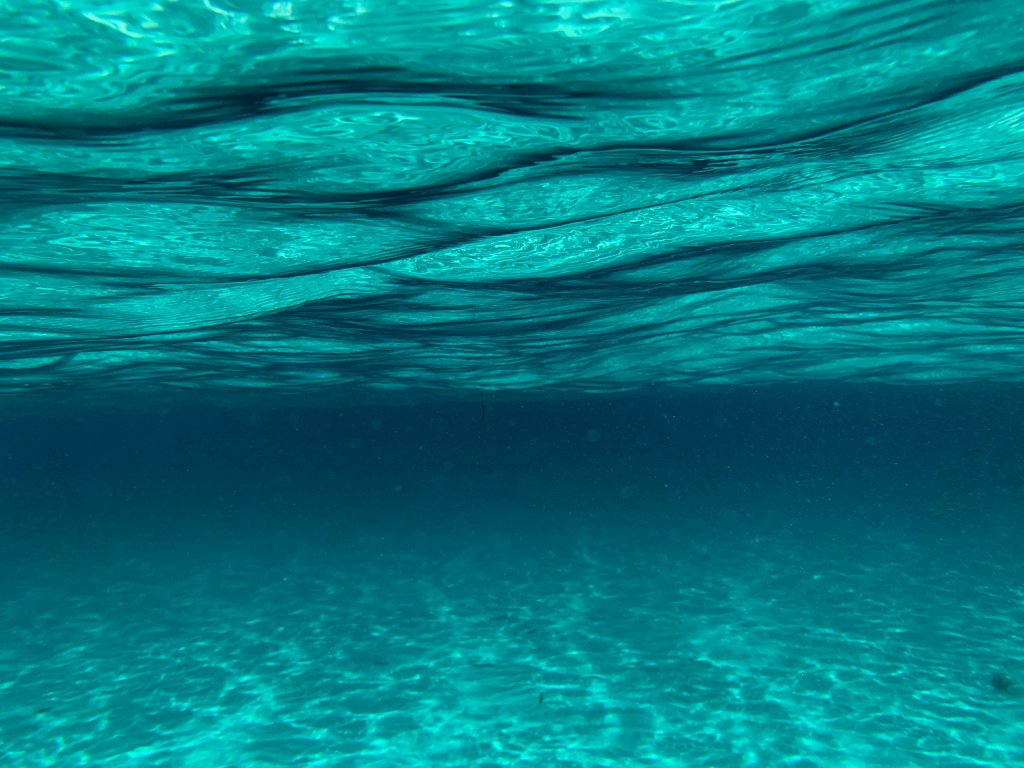 Sell Your House Fast!