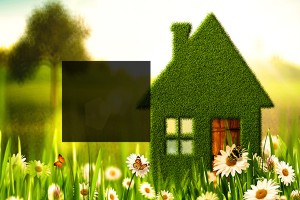Cash for homes in Jacksonville Beach FL