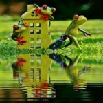 Sell your home in Jacksonville FL