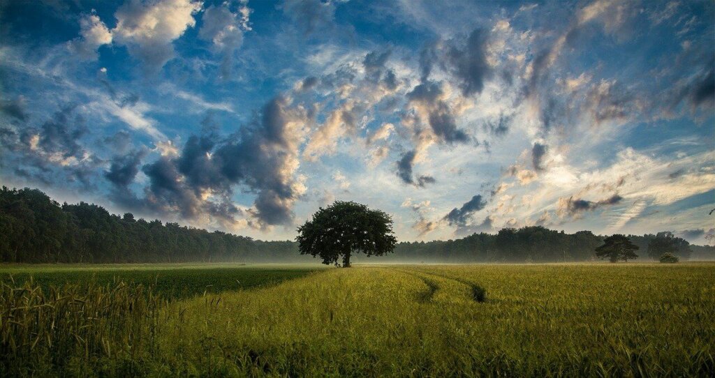 Land Buyers Middleburg Florida