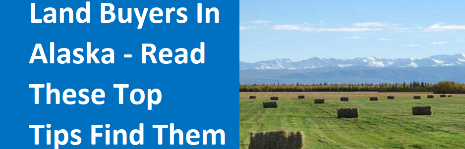 Land Buyers In Alaska - Read These Top Tips Find Them