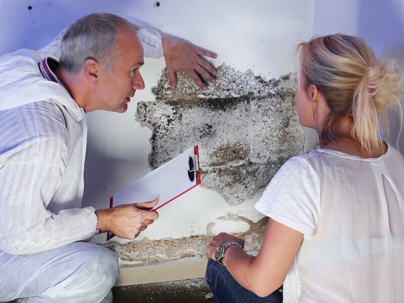 Documenting the mold problem