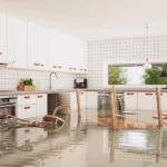 What To Do If My House is Flooded In Texas