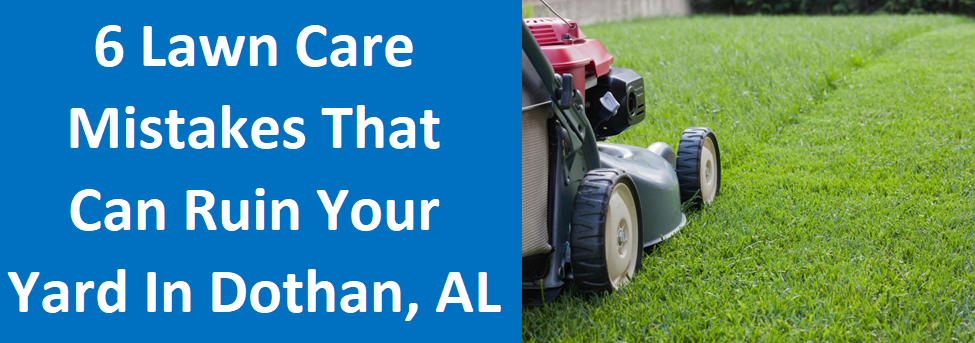 6 Lawn Care Mistakes That Can Ruin Your Yard in Dothan, Alabama