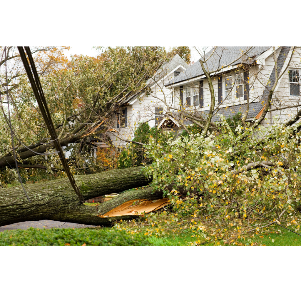 How To Sell With Storm Damage | Sell My House With Storm Damage | Prominent Cash Offer