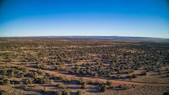 Land for Sale in Apache County AZ