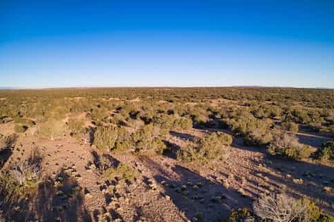 Land for Sale in Apache County AZ