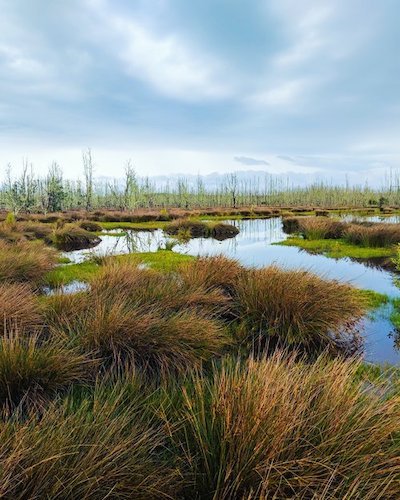 buy land in florida - what you need to know