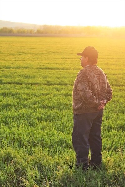 What to Do With Land
