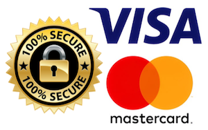 SecureCheckoutVisaMastercard