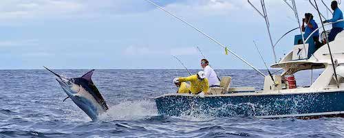 Credit: Share a Fishing Charter