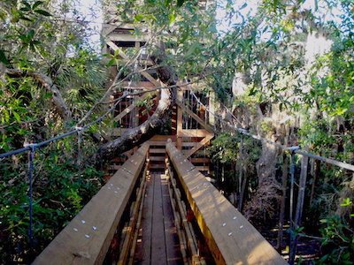 Credit: Myakka State Forest