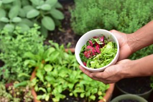 CommunityGarden
