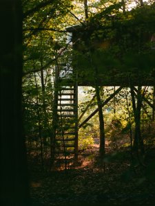 Treehouse