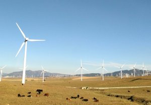 WindFarm
