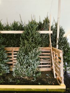ChristmasTree