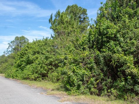North Port lot for sale - Compass Land USA