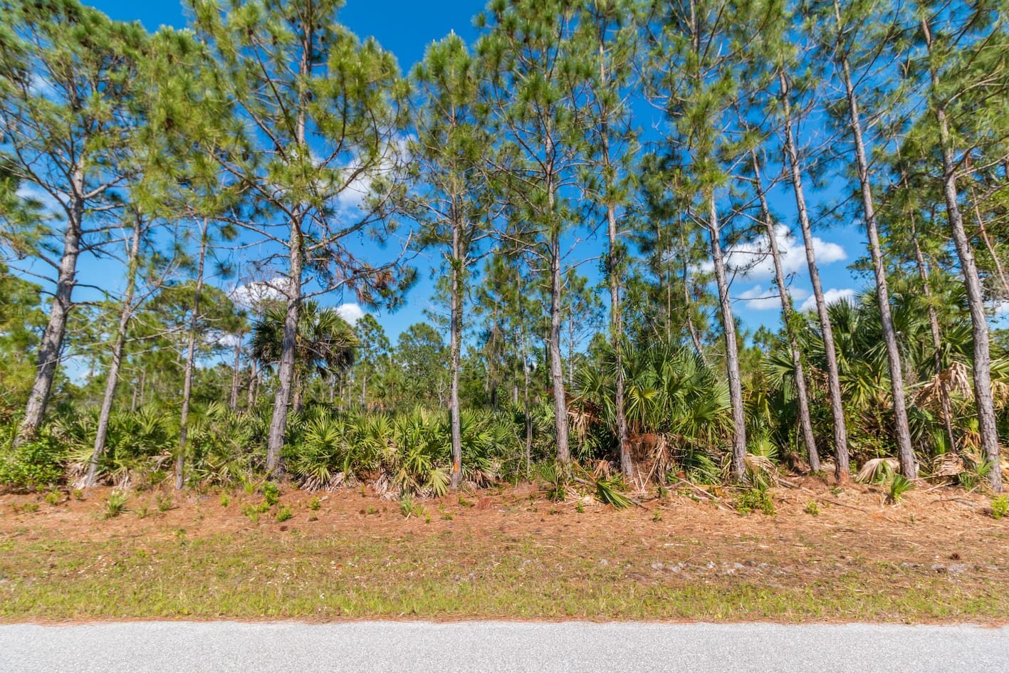 Charlotte County land for sale - Compass Land USA