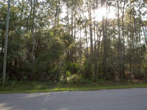 North Port lot for sale - Compass Land USA
