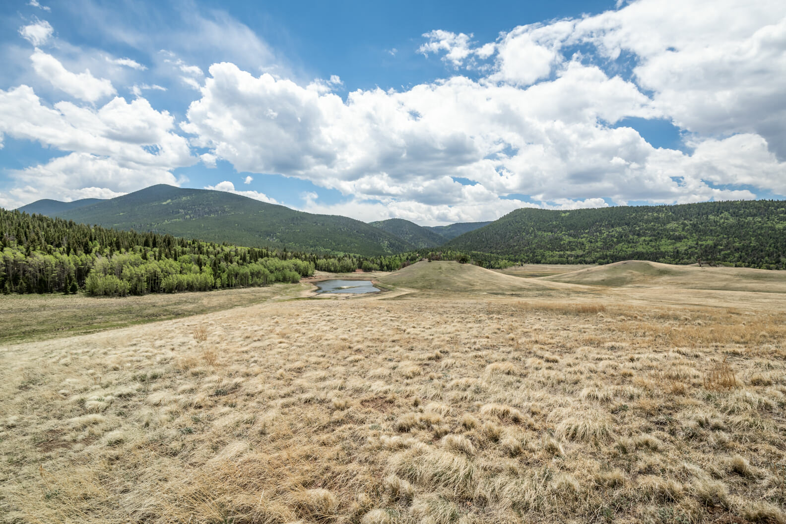 Land for Sale in Forbes Park Colorado Compass Land USA
