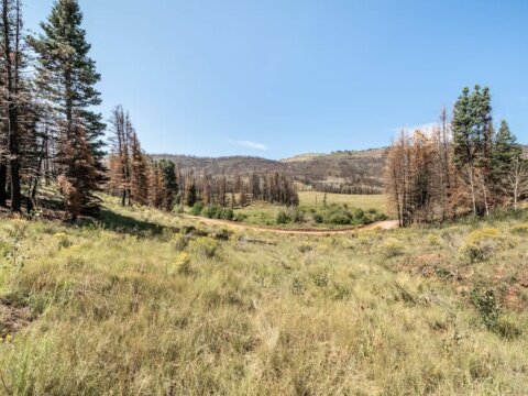 Costilla County lot for sale - Compass Land USA