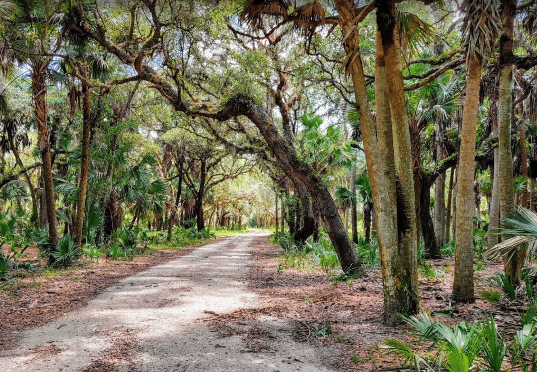 Land for Sale in North Port Florida Compass Land USA