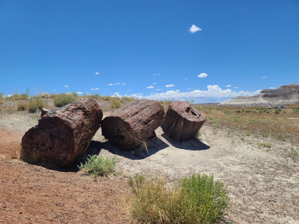 Petrified Forest National Park, Apache County Arizona