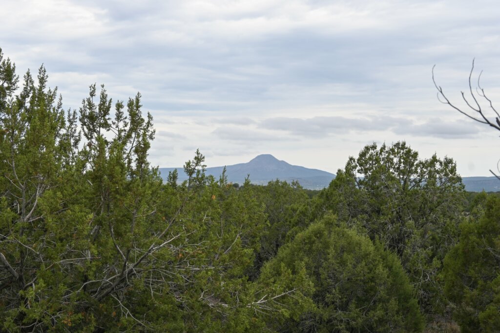 Lot for sale near Ash Fork.