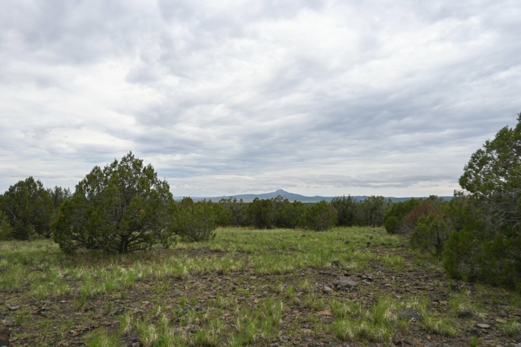 One of our recent listings in Williams.