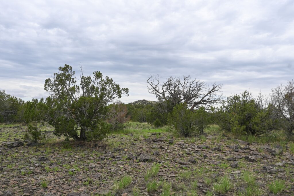 A recently SOLD property in Coconino County.